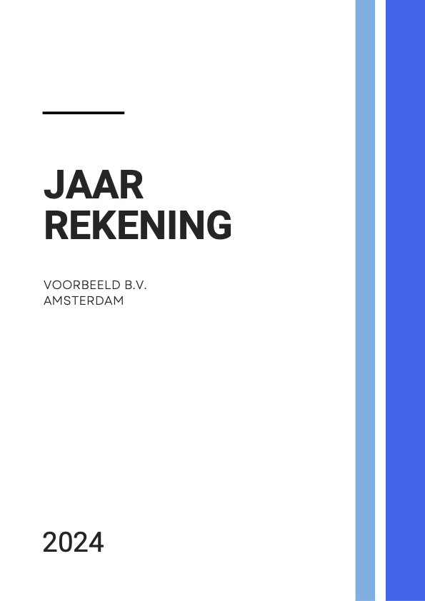 Jaarrekening voorbeeld